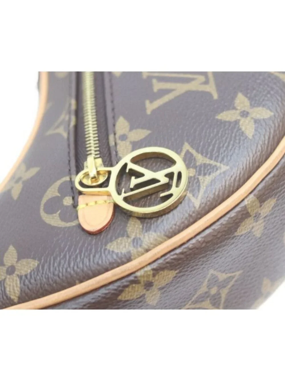 Louis Vuitton Monogram Loop Shoulder Bag